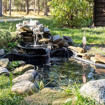 Rustic Cozy Cabin With Hot Tub Bragg Creek Exterior foto